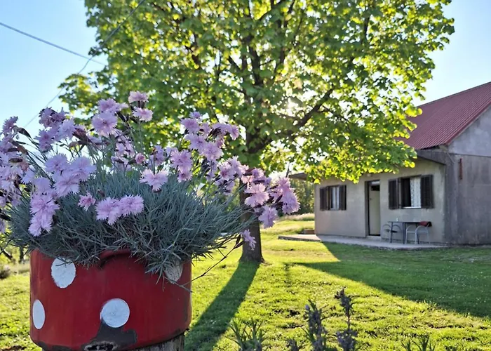 Apartman Krivosije